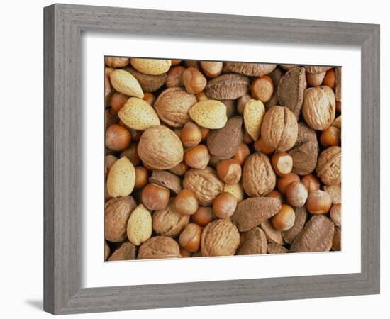 Nuts: Almonds, Brazils, Hazelnuts & Walnuts-Tony Craddock-Framed Photographic Print