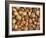 Nuts: Almonds, Brazils, Hazelnuts & Walnuts-Tony Craddock-Framed Photographic Print