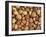 Nuts: Almonds, Brazils, Hazelnuts & Walnuts-Tony Craddock-Framed Photographic Print