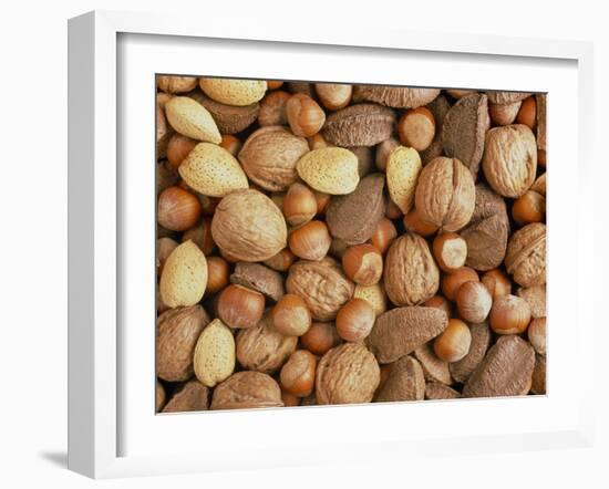 Nuts: Almonds, Brazils, Hazelnuts & Walnuts-Tony Craddock-Framed Photographic Print