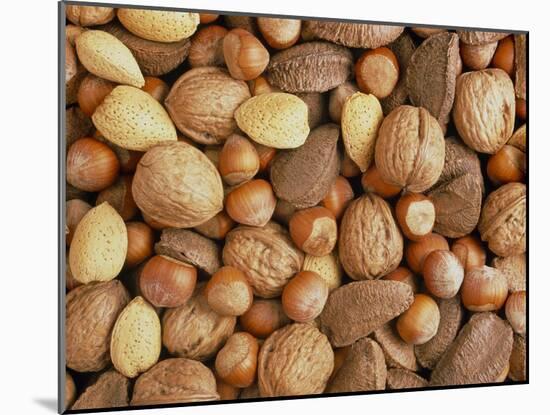 Nuts: Almonds, Brazils, Hazelnuts & Walnuts-Tony Craddock-Mounted Photographic Print