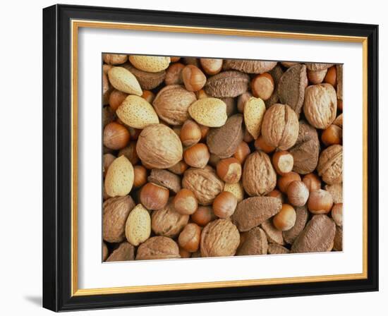 Nuts: Almonds, Brazils, Hazelnuts & Walnuts-Tony Craddock-Framed Photographic Print