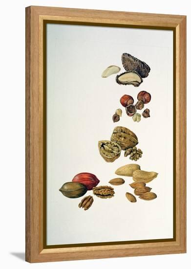 Nuts-Felicity House-Framed Premier Image Canvas