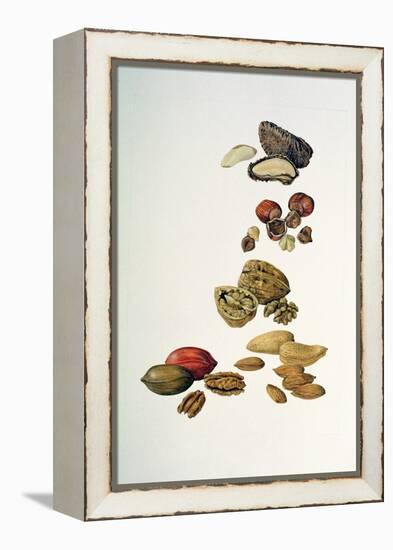 Nuts-Felicity House-Framed Premier Image Canvas