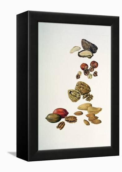 Nuts-Felicity House-Framed Premier Image Canvas