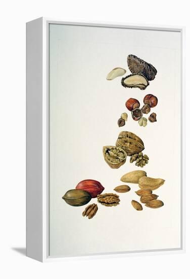 Nuts-Felicity House-Framed Premier Image Canvas