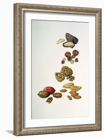 Nuts-Felicity House-Framed Giclee Print