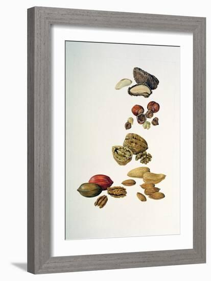 Nuts-Felicity House-Framed Giclee Print