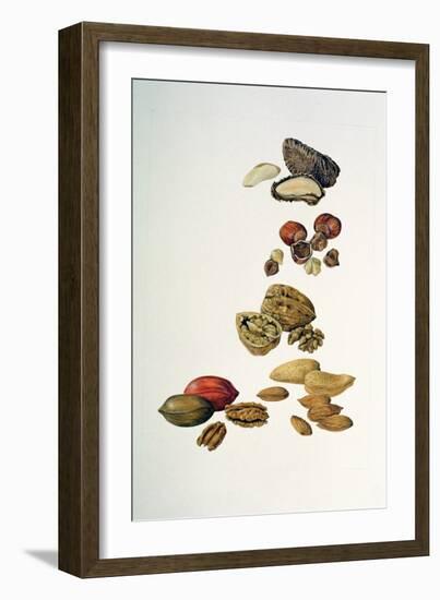 Nuts-Felicity House-Framed Giclee Print