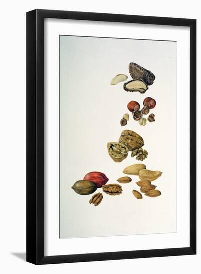 Nuts-Felicity House-Framed Giclee Print