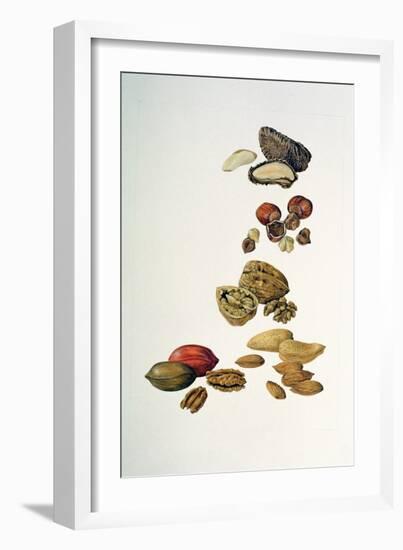 Nuts-Felicity House-Framed Giclee Print