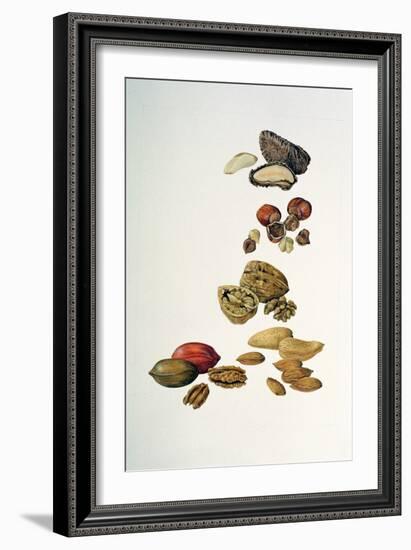 Nuts-Felicity House-Framed Giclee Print