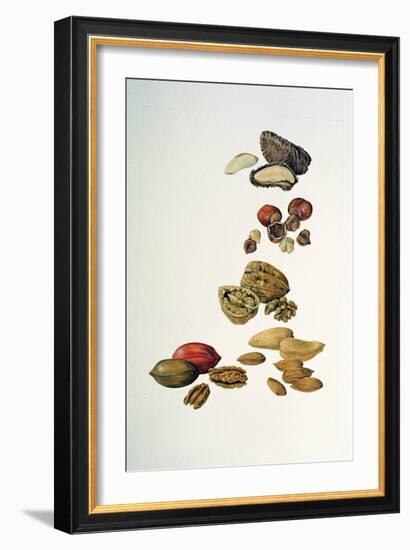 Nuts-Felicity House-Framed Giclee Print