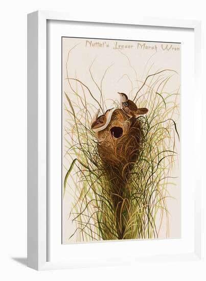 Nuttal's Lesser Marsh Wren-John James Audubon-Framed Art Print