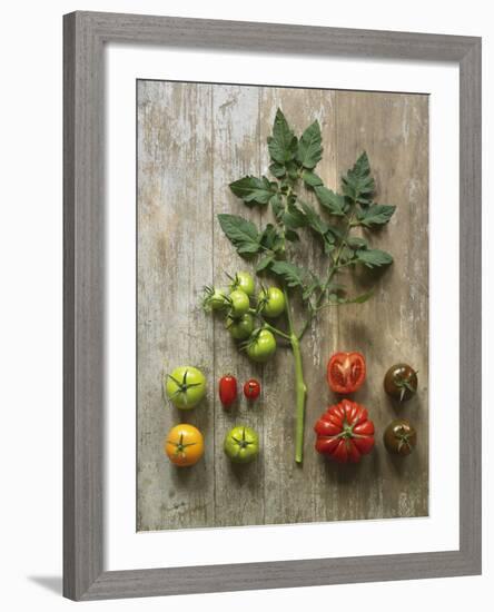 Nuture-Camille Soulayrol-Framed Giclee Print