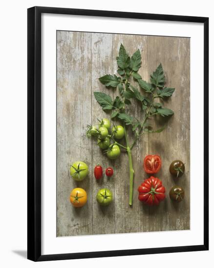 Nuture-Camille Soulayrol-Framed Giclee Print