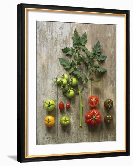 Nuture-Camille Soulayrol-Framed Giclee Print