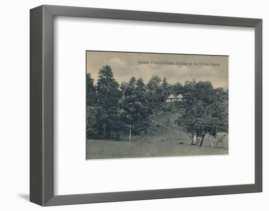 'Nuwara Eliya Golf Links, Driving on the 7th Tee, Ceylon', c1900-Unknown-Framed Photographic Print