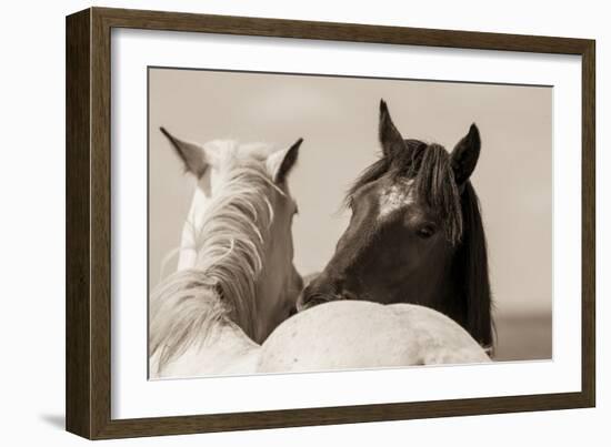 Nuzzles-KaCee Erle-Framed Art Print