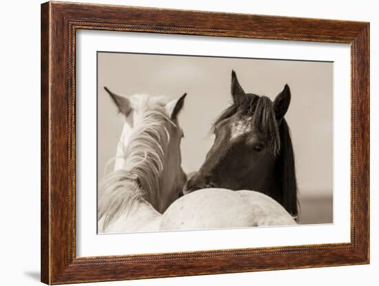 Nuzzles-KaCee Erle-Framed Art Print