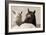 Nuzzles-KaCee Erle-Framed Art Print