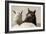 Nuzzles-KaCee Erle-Framed Art Print