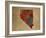 NV Colorful Counties-Red Atlas Designs-Framed Giclee Print