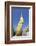 Nwa-La-Bo Pagoda Golden Rock and Pagoda Near Mawlamyine, Mon, Myanmar (Burma), Southeast Asia-Alex Robinson-Framed Photographic Print