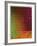 NY 1312-Jennifer Sanchez-Framed Giclee Print