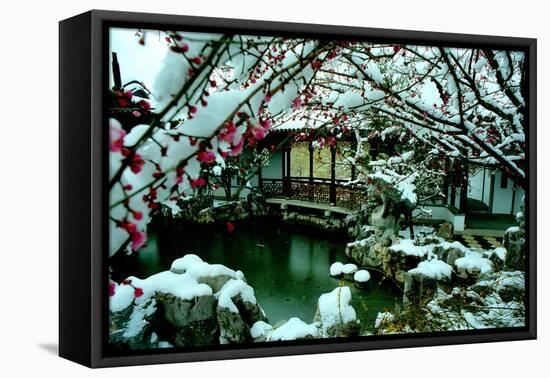 NY Chinese Scholar's Garden, Spring Snow, 2010-Anthony Butera-Framed Premier Image Canvas