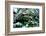 NY Chinese Scholar's Garden, Spring Snow, 2010-Anthony Butera-Framed Photographic Print