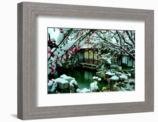 NY Chinese Scholar's Garden, Spring Snow, 2010-Anthony Butera-Framed Photographic Print