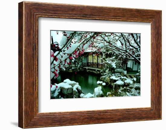 NY Chinese Scholar's Garden, Spring Snow, 2010-Anthony Butera-Framed Photographic Print