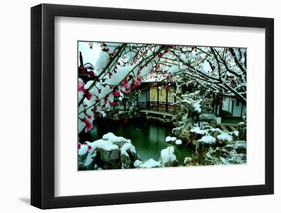 NY Chinese Scholar's Garden, Spring Snow, 2010-Anthony Butera-Framed Photographic Print