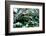 NY Chinese Scholar's Garden, Spring Snow, 2010-Anthony Butera-Framed Photographic Print