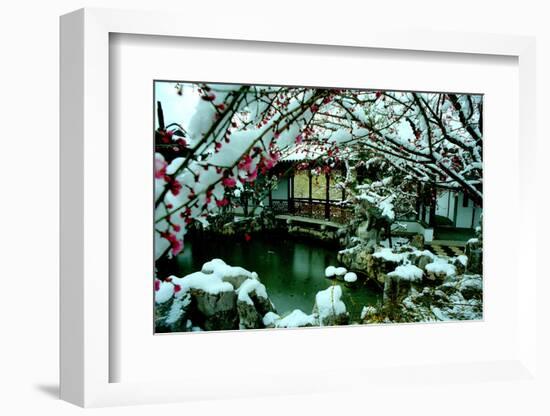 NY Chinese Scholar's Garden, Spring Snow, 2010-Anthony Butera-Framed Photographic Print