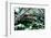 NY Chinese Scholar's Garden, Spring Snow, 2010-Anthony Butera-Framed Photographic Print