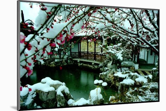 NY Chinese Scholar's Garden, Spring Snow, 2010-Anthony Butera-Mounted Photographic Print