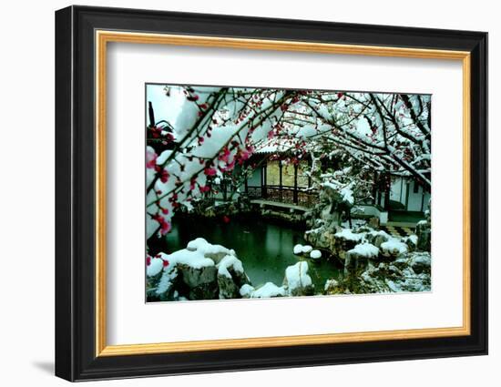 NY Chinese Scholar's Garden, Spring Snow, 2010-Anthony Butera-Framed Photographic Print