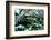NY Chinese Scholar's Garden, Spring Snow, 2010-Anthony Butera-Framed Photographic Print
