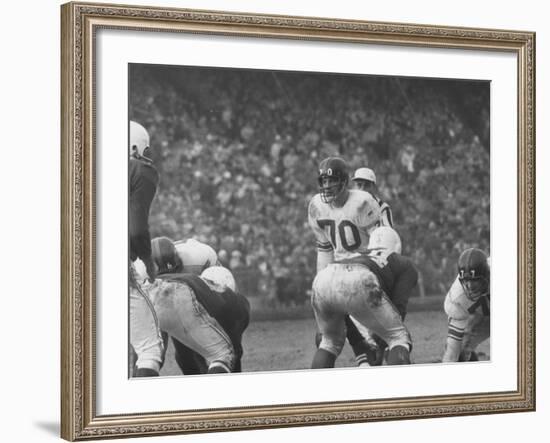 Ny Giants Player Sam Huff During Game Against the Cardinals-null-Framed Premium Photographic Print