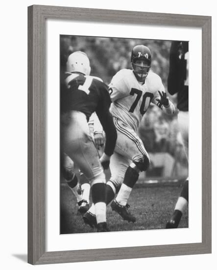 NY Giants Player Sam Huff-Francis Miller-Framed Premium Photographic Print