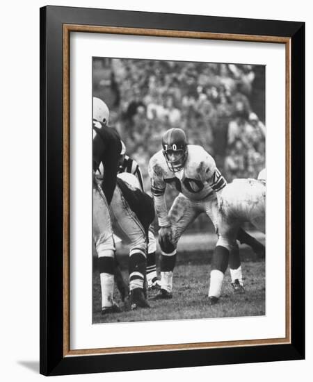 Ny Giants Player Sam Huff-null-Framed Premium Photographic Print