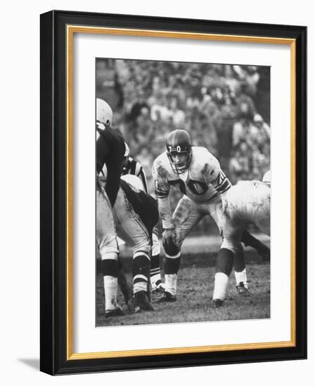 Ny Giants Player Sam Huff-null-Framed Premium Photographic Print