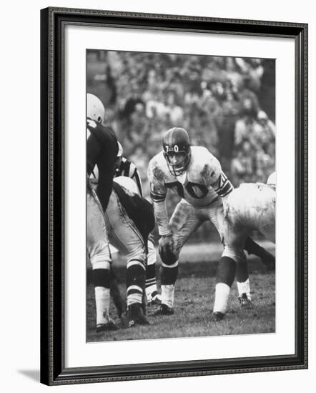 Ny Giants Player Sam Huff-null-Framed Premium Photographic Print