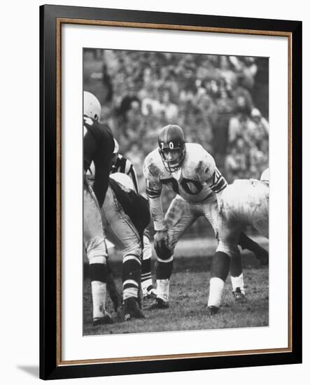 Ny Giants Player Sam Huff-null-Framed Premium Photographic Print