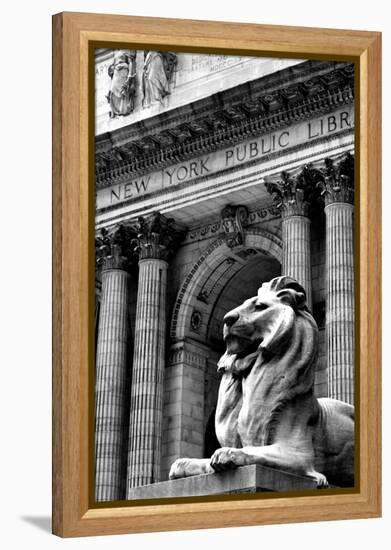 NY Public Library III-Jeff Pica-Framed Premier Image Canvas