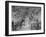 NY Rangers' Goal is Characteristic of Chicago Black Hawks Style of Attack in Ice Hockey Game-Frank Scherschel-Framed Premium Photographic Print