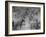 NY Rangers' Goal is Characteristic of Chicago Black Hawks Style of Attack in Ice Hockey Game-Frank Scherschel-Framed Premium Photographic Print