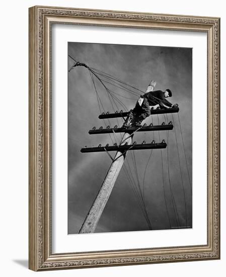 NY Telephone Co. Lineman Wallace Burdick Repairs Telephone Lines Between Valhalla and Brewster-Margaret Bourke-White-Framed Photographic Print